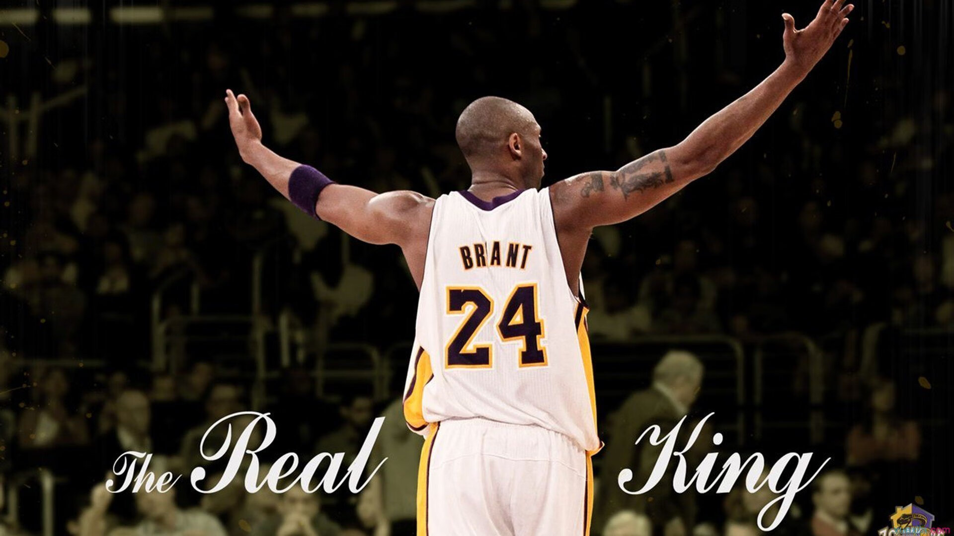 东西对话,广厦的团队狂潮与詹姆斯的孤星闪耀—现代篮球的两种终极答案