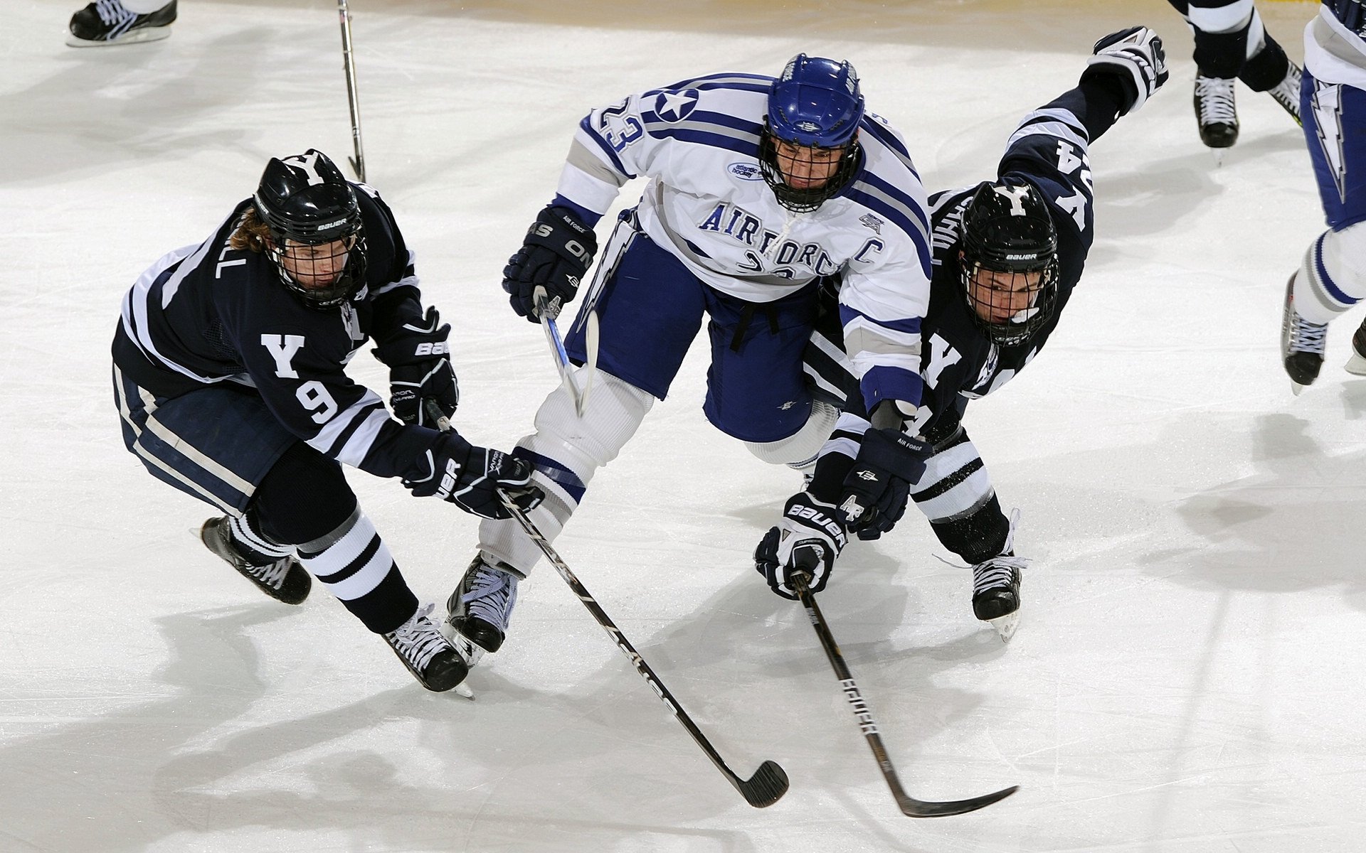东北虎掀翻十一冠王！莫兰特致命5秒让杜锋沉默，CBA今夜为他疯狂
