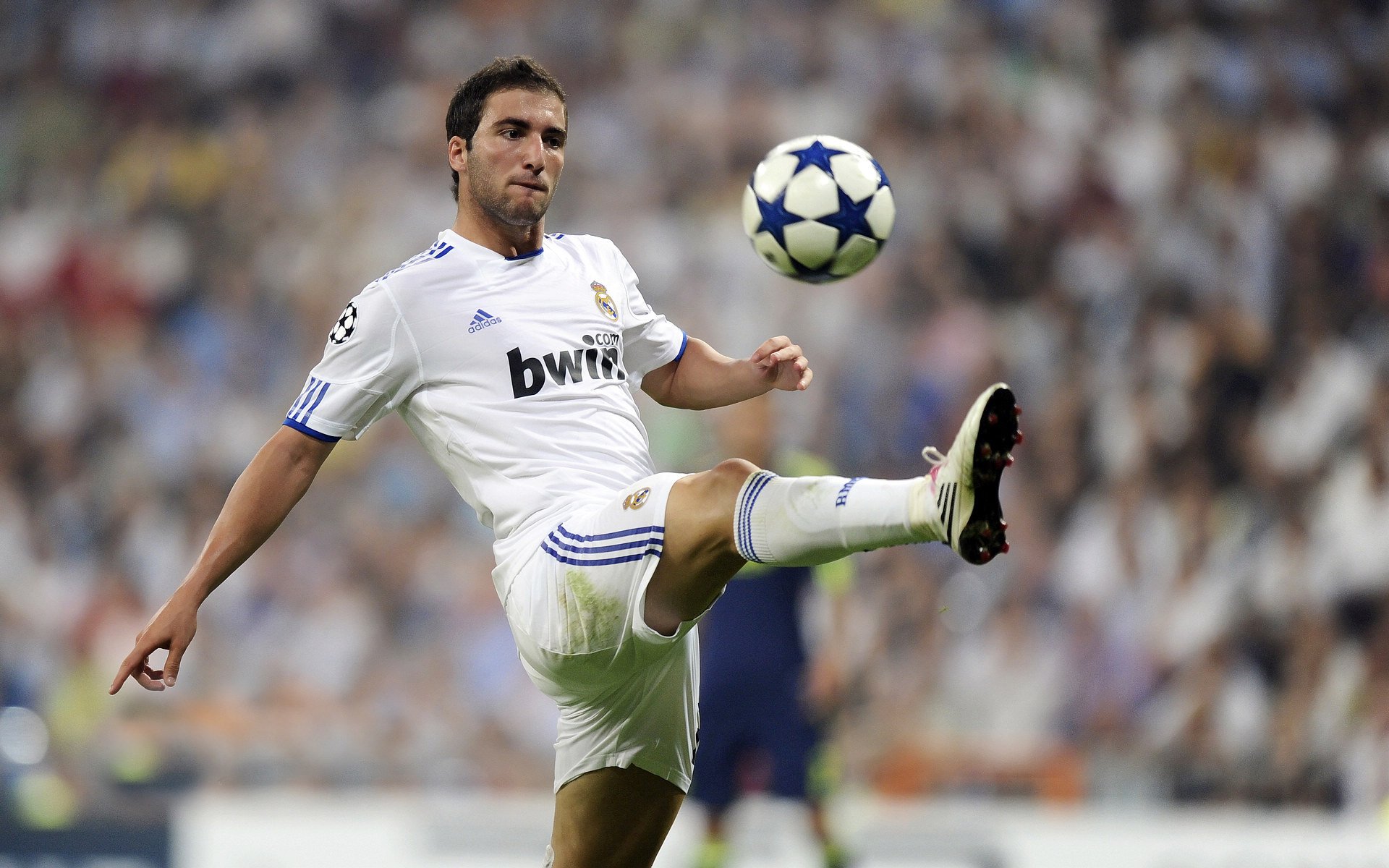 当深圳铁骑踏碎汽车城，范弗利特用一记三分射穿历史